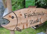 fischzucht zankl